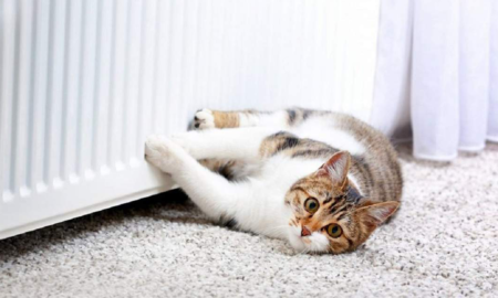 У Калуші почали запускати тепло. Комунальники працюватимуть і у вихідні