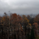 Погода в Калуші на 23 листопада