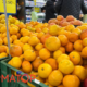 Розпочався сезон мандарин: скільки коштує кілограм цитрусових у Калуші?