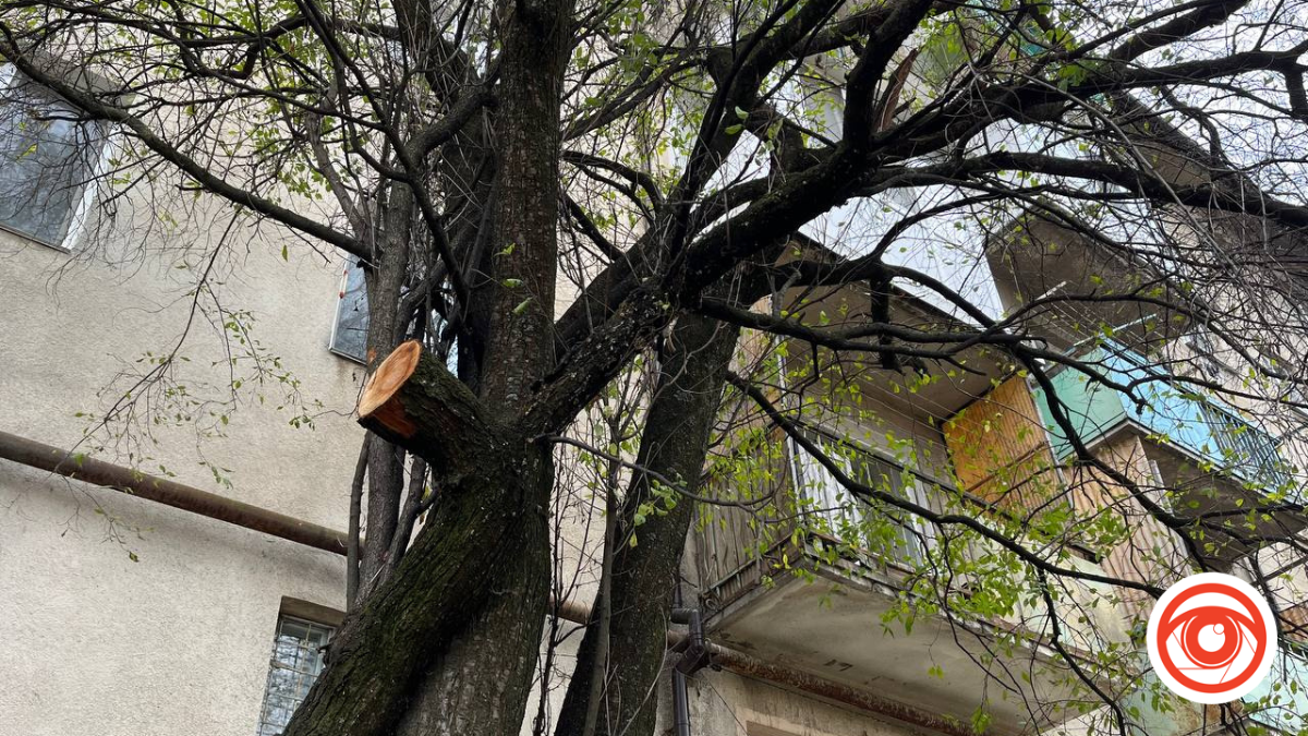 На Винниченка у Калуші "весна": на даху проросли чорнобривці | ФОТОФАКТ