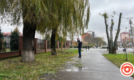 На проспекті Лесі Українки у Калуші підрізають гілки дерев | ФОТОФАКТ