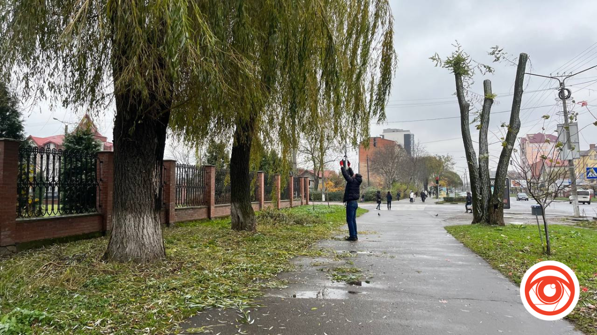 На проспекті Лесі Українки у Калуші підрізають гілки дерев | ФОТОФАКТ