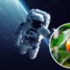 Астронавти загубили у космосі помідор