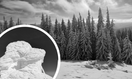 Міжнародний день гір: казкові фото зимових Карпат