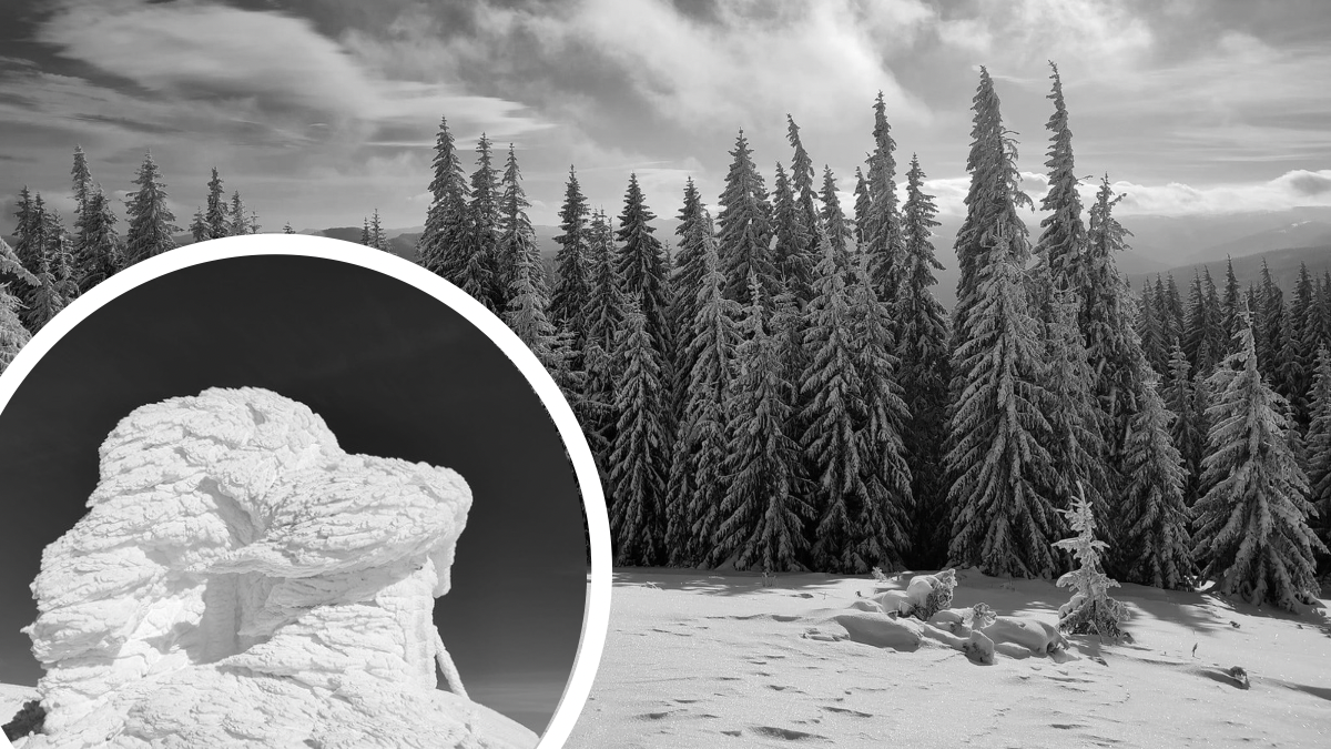 Міжнародний день гір: казкові фото зимових Карпат