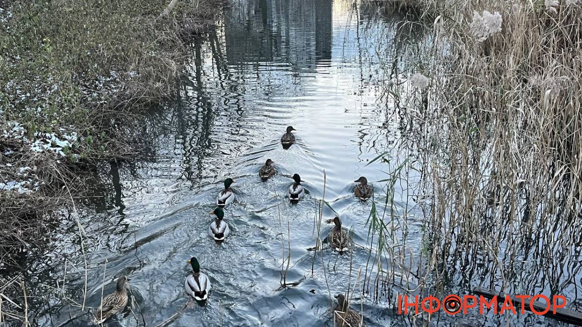 Перший місяць зими в деталях — Калуш у грудні | ФОТО