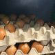 Ціни на яйця в Калуші. Де дешевше?