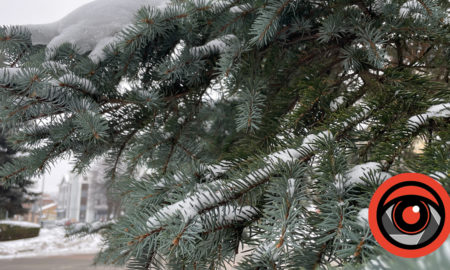 Більше! Більше снігу! — якої погоди чекати 11 грудня у Калуші?