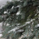 Більше! Більше снігу! — якої погоди чекати 11 грудня у Калуші?