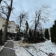 На площі Героїв у Калуші обрізають дерева | ФОТОФАКТ