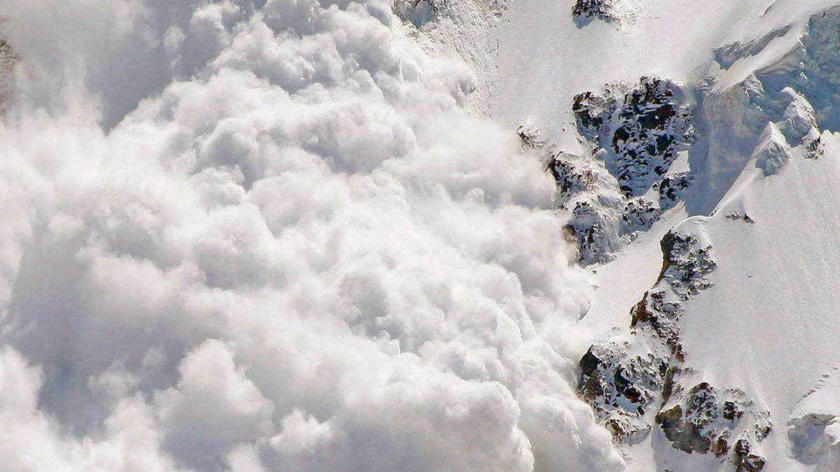 Тричі за два дні: у Карпатах зафіксували сходження лавин