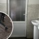 У ліцеї на Болехівщині зробили туалети: з влади — майже мільйон, з батьків — кошики для сміття