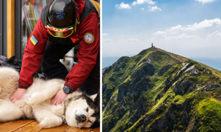 Собака рятувальниця через ревнощі втекла у гори