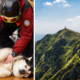 Собака рятувальниця через ревнощі втекла у гори