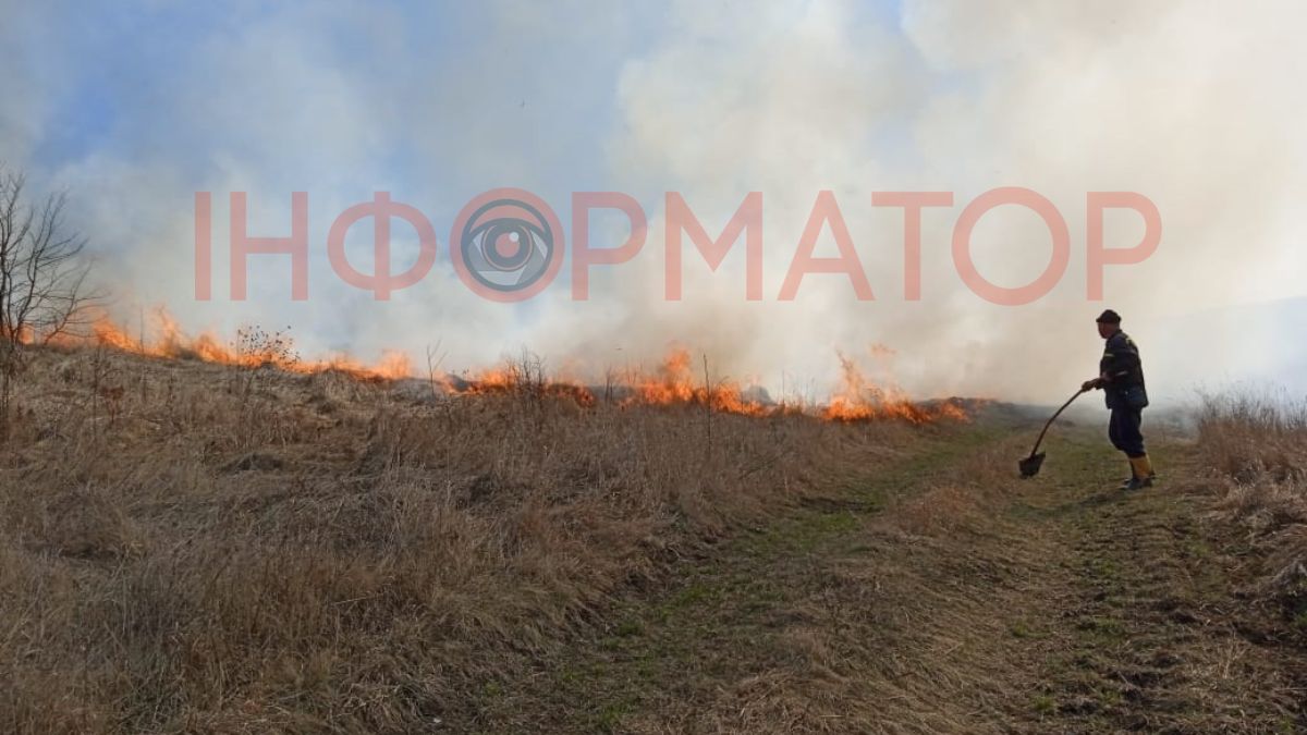 На Прикапатті — 35 пожеж в екосистемах, на Житомирщині — згорів чоловік