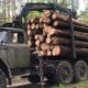 На Калущині водій із деревиною без документів намагався підкупити поліцейських