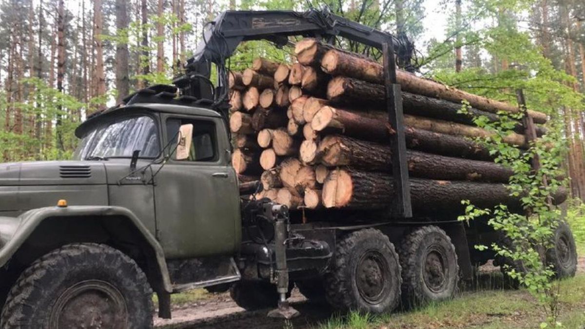 На Калущині водій із деревиною без документів намагався підкупити поліцейських
