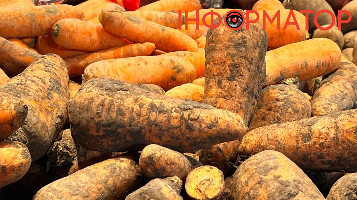 Ціни на моркву: скільки вартує кілограм у Калуші?