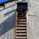 На Прикарпатті врятували чотирилапого "альпініста" | ФОТОФАКТ