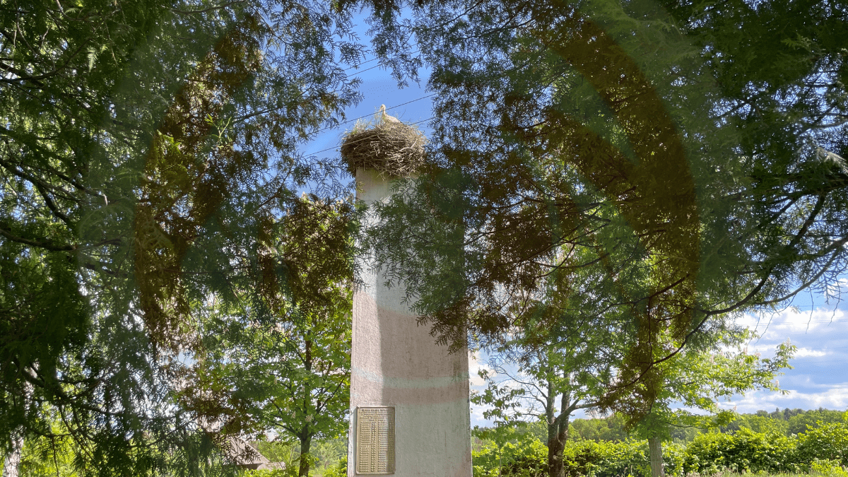 У селі на Долинщині на радянському пам'ятнику оселився лелека