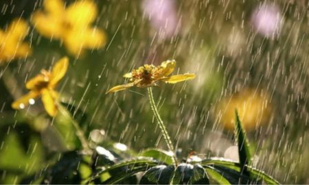 Дощ-одноденка | Прогноз погоди у Калуші та Долині на 23 червня