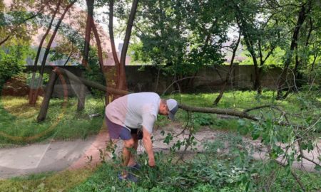 Захотів вишень — зрізав дерево. У Калуші чоловік вранці "погуляв" із пилкою