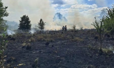 У Новиці вчора вигоріло півтора гектара поля