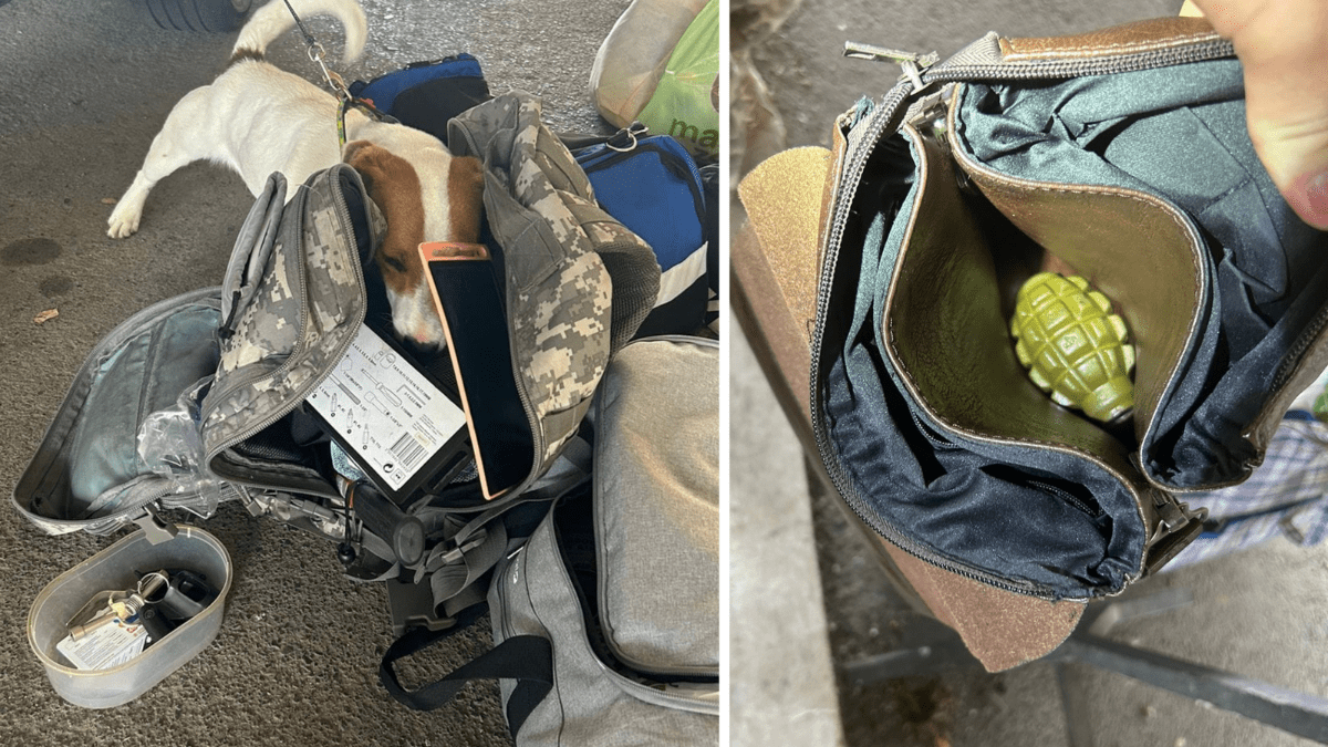 Прикордонники знайшли у сумці в українки бойову гранату та патрон