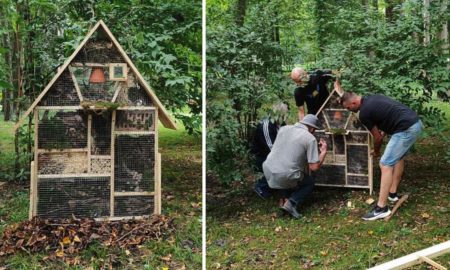 Будиночки для комах облаштували у парку в Івано-Франківську | ФОТОФАКТ