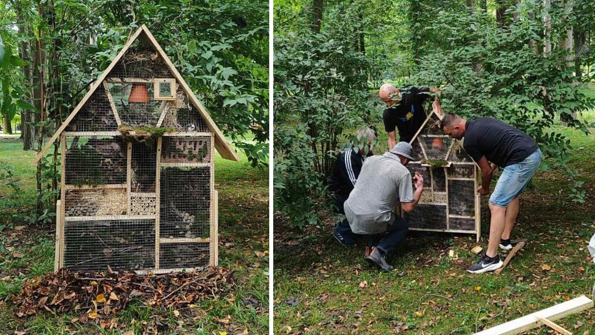 Будиночки для комах облаштували у парку в Івано-Франківську | ФОТОФАКТ