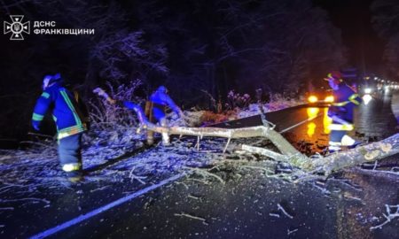 На Калущині дерево заблокувало проїзд на дорозі | ФОТОФАКТ