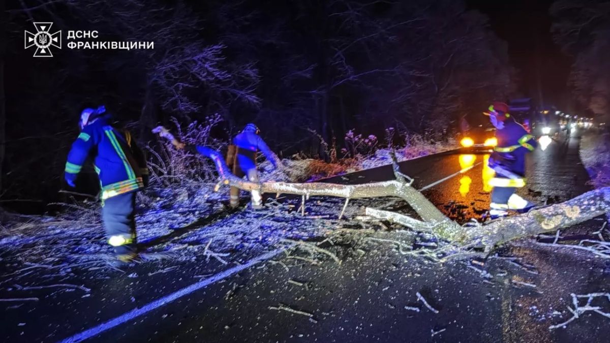 На Калущині дерево заблокувало проїзд на дорозі | ФОТОФАКТ