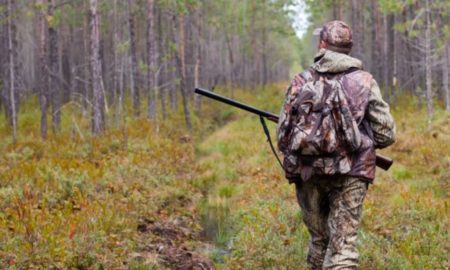 Поблизу Малої Тур'ї сьогодні відстрілюватимуть лисиць