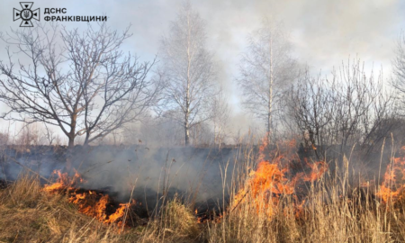 У Тяпче люди самотужки загасили пожежу