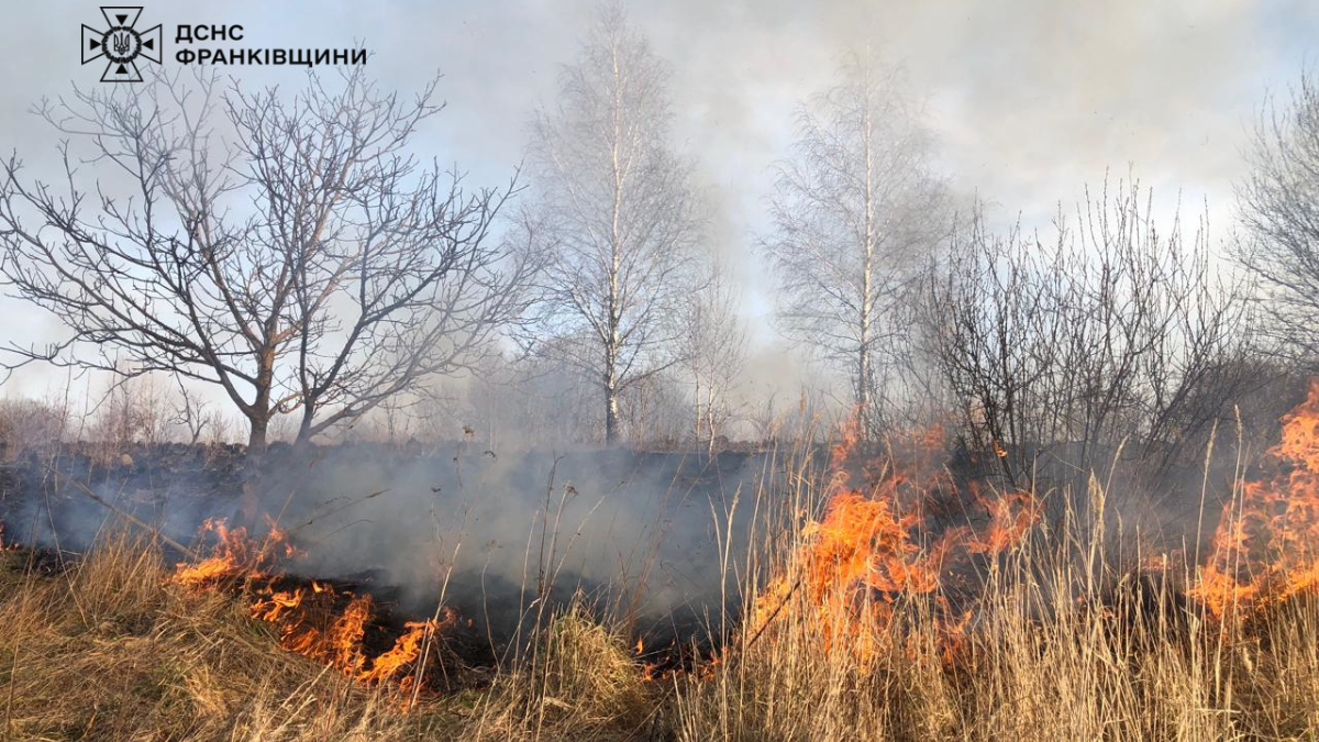 У Тяпче люди самотужки загасили пожежу