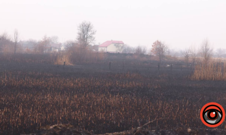 Довкола Кропивника — усе чорне. Наслідки паління трави — вражають | ФОТО + ВІДЕО