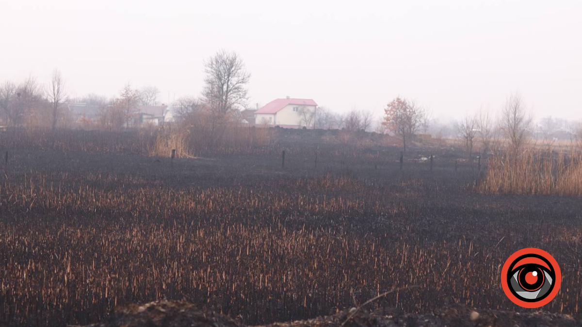 Довкола Кропивника — усе чорне. Наслідки паління трави — вражають | ФОТО + ВІДЕО