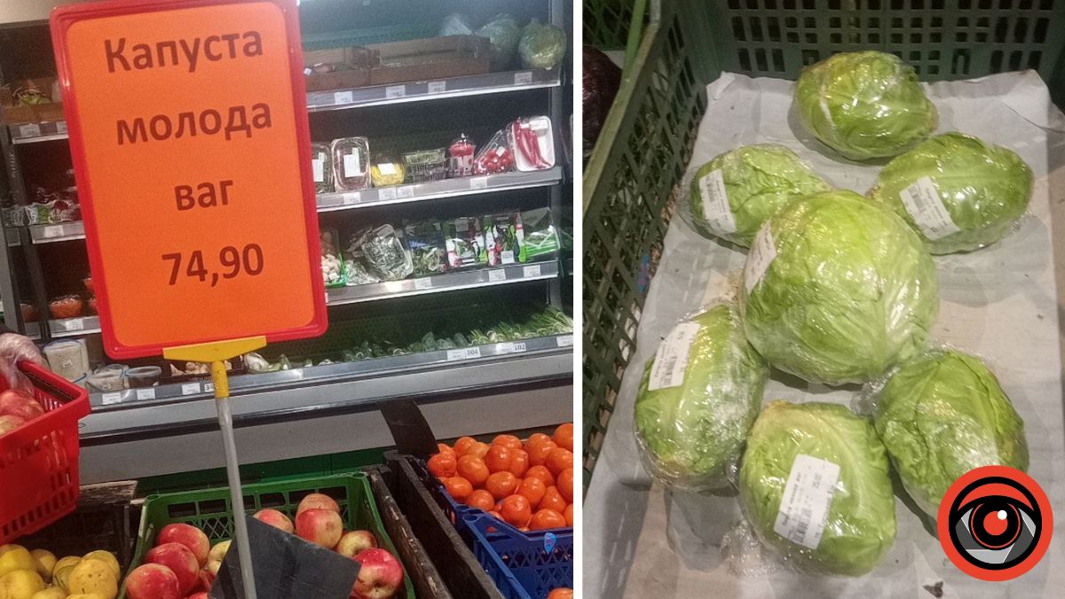 kapusta04