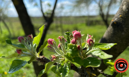 Тепло, але не всюди безхмарно