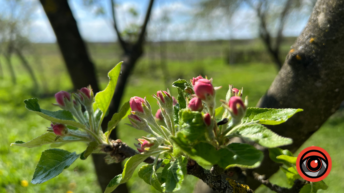 Тепло, але не всюди безхмарно