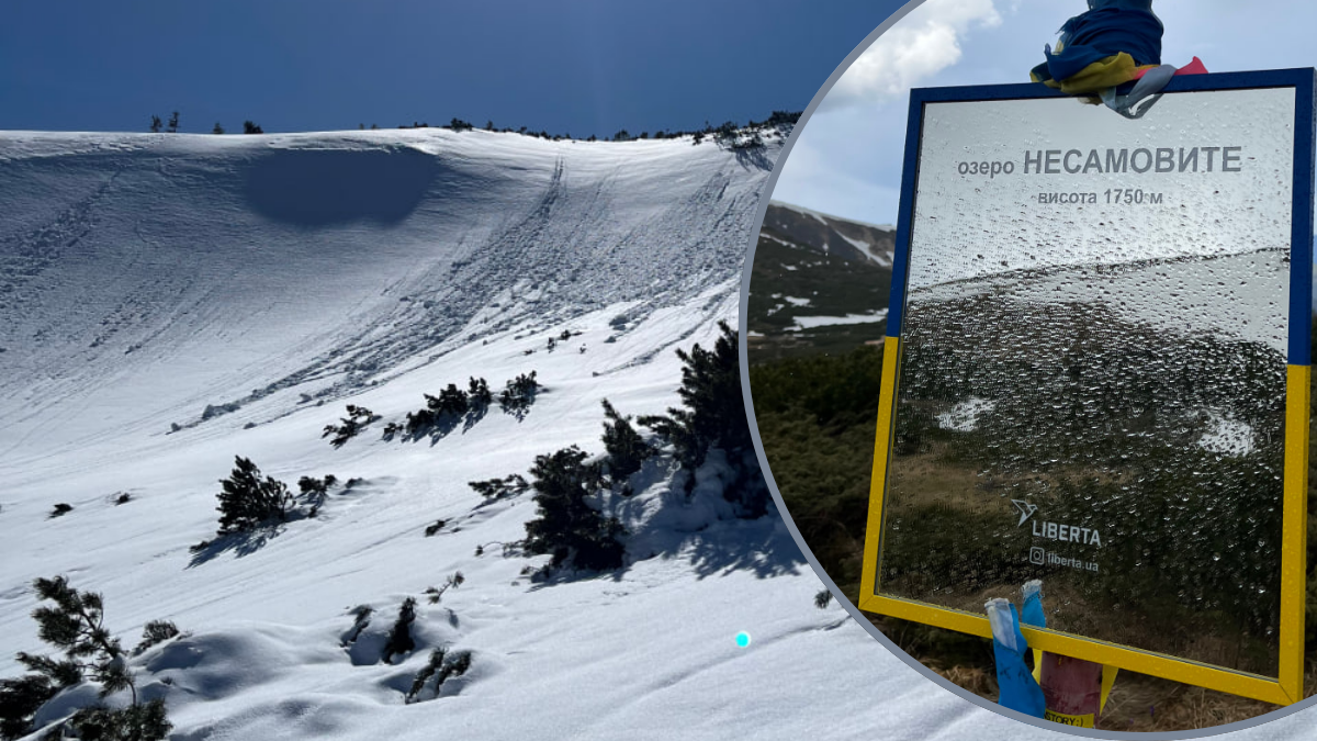 Несамовите