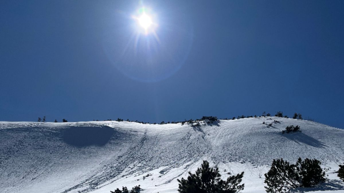 Несамовите