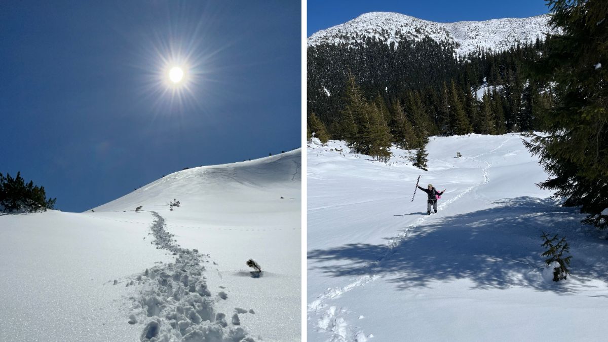 Несамовите