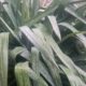 pohoda10 (1)