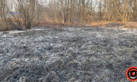Пожежі в екосистемах Калущини виснажують резерви вогнеборців