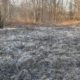 Пожежі в екосистемах Калущини виснажують резерви вогнеборців