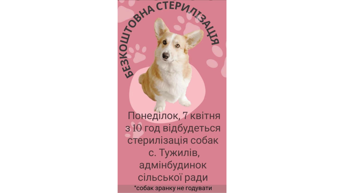 Стерилізація