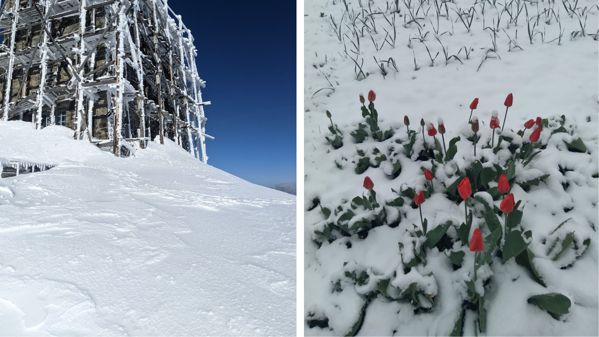 рік тому в цей день на Прикарпатті сніжило