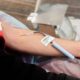 donor