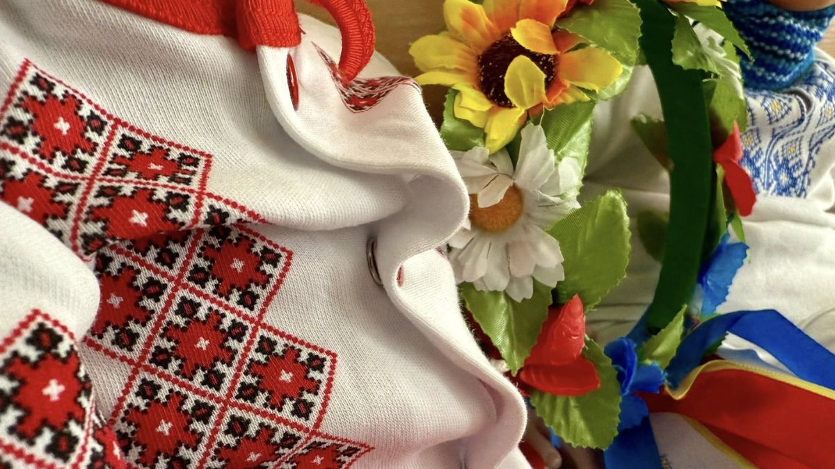 Пологовий будинок вишиванки (1)